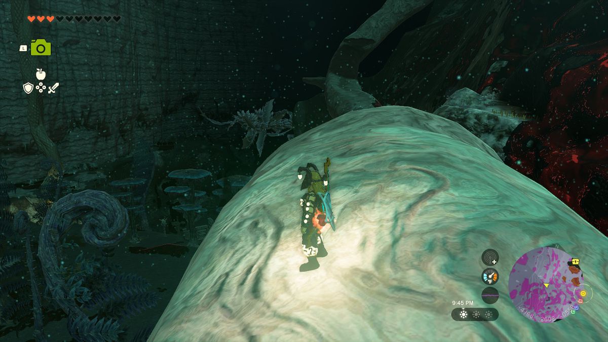 Link stands on top of a massive root in Zelda: Tears of the Kingdom