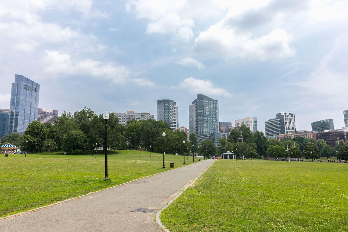 A park. There is a path that has a large expanse of green lawn on each side. In the distance is a city skyline. There is a blue sky.