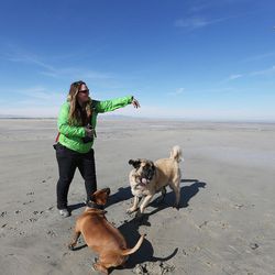 Bonnie Seeley plays with her dogs Mickey and Juno at the Great Salt Lake on Wednesday, Feb. 24, 2016. The waters of the lake have shrunk by 48 percent and its levels diminished by 11 feet over the last 150 years.