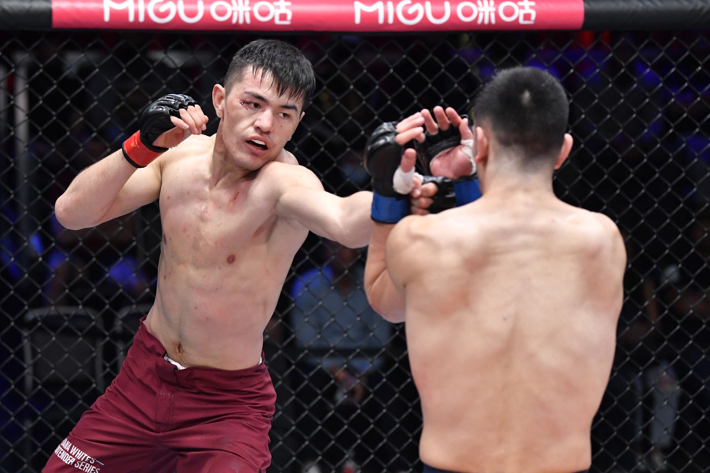 DWCS Season 5, Week 10 results: Maheshate first Chinese DWCS winner, 1 other contract awarded - MMA Fighting