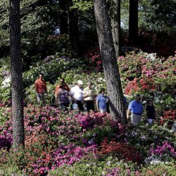 Spectators walk past some azaleas on the sixth hole during a practice round for the Masters golf tournament Wednesday, April 10, 2013, in Augusta, Ga. (AP Photo/David J. Phillip)