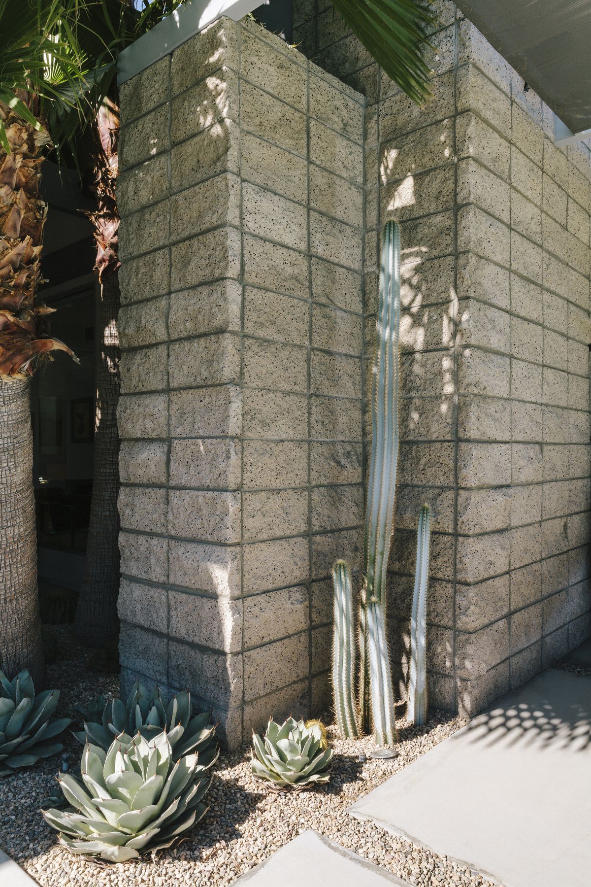 An exterior portion of a house. Desert plants are positioned along the angles of the house. 