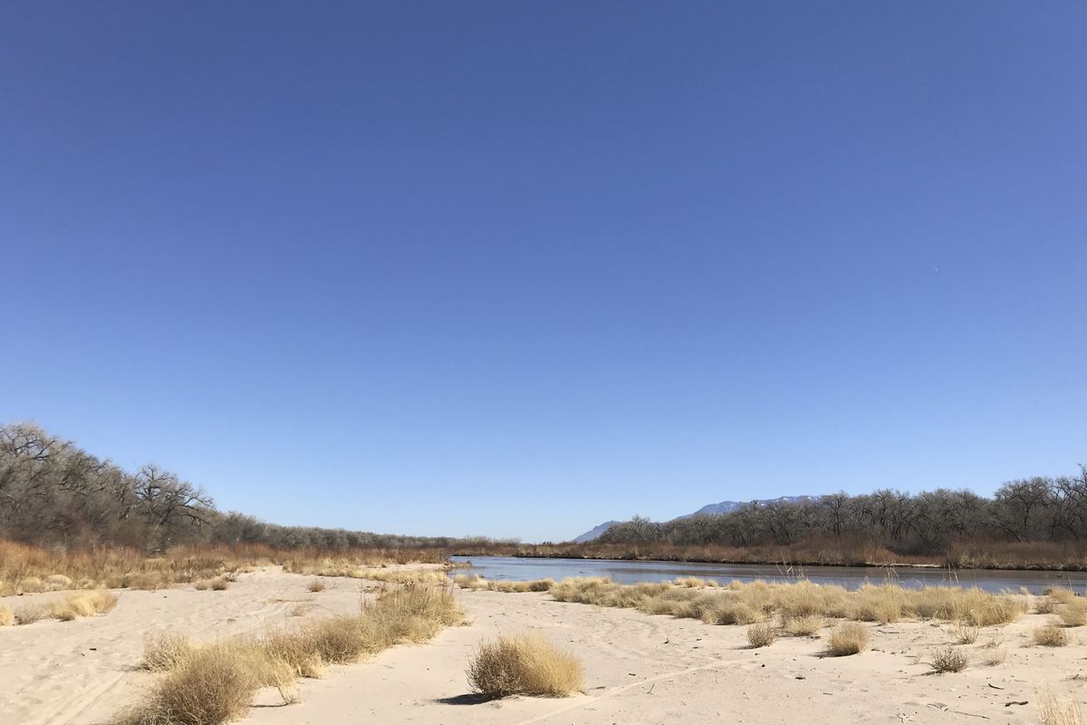A sandbar on the Rio Grande in Albuquerque, N.M., where tumbleweeds have turned up is a sign of how, like elsewhere in the southwestern U.S., New Mexico is facing a severe drought due to limited winter snowpack and spring runoff.