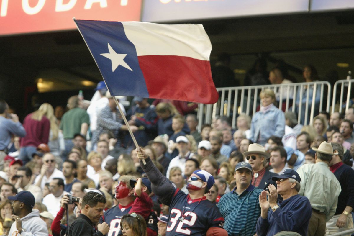 Texans fan waves flag