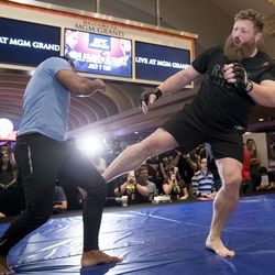 UFC open workouts