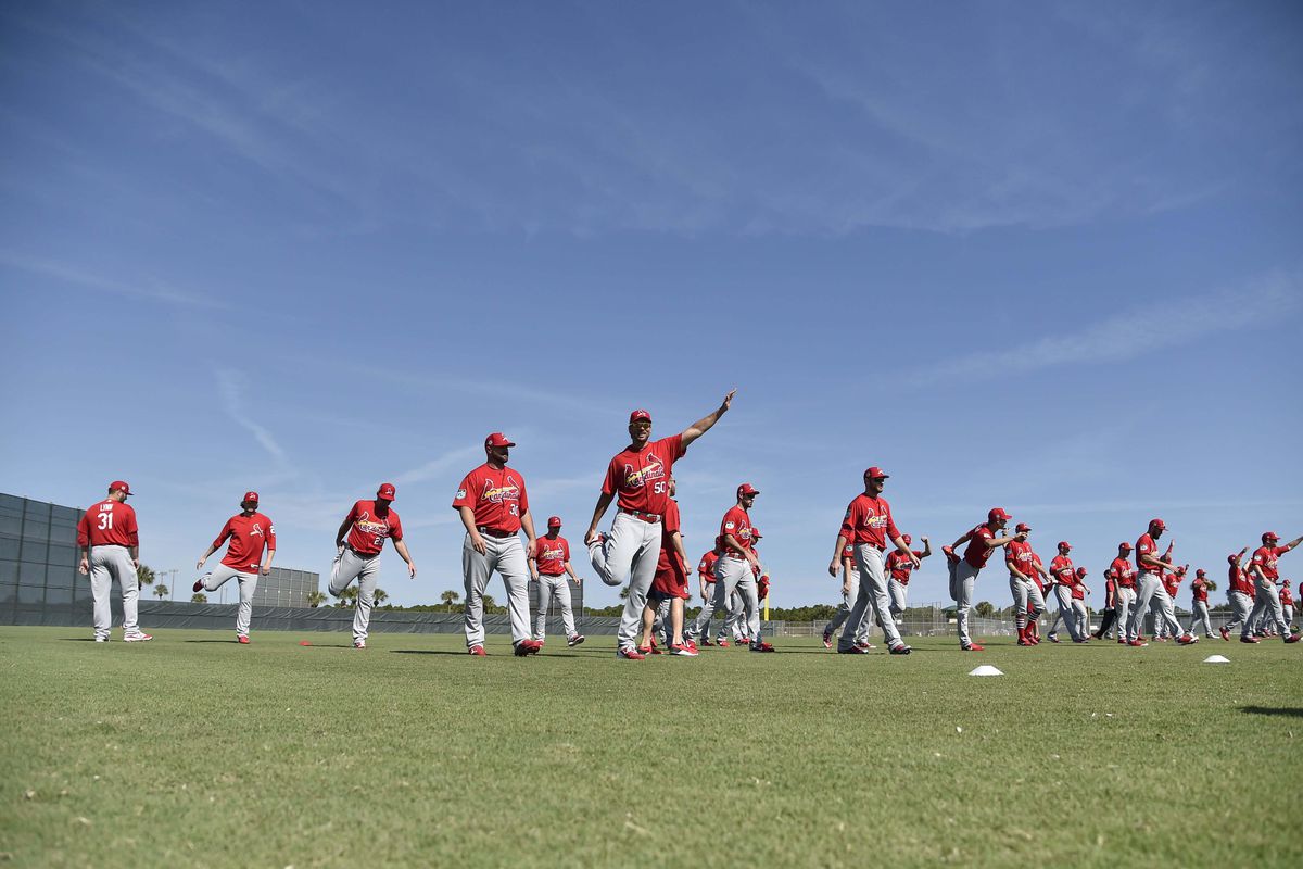 MLB: St. Louis Cardinals-Workouts