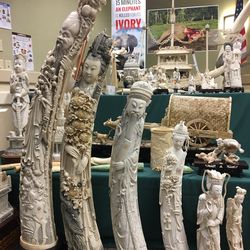 In this July 27, 2017 photo, carved ivory tusks, are displayed in Albany, N.Y. Some of the artifacts will be crushed Thursday, Aug. 3 in Central Park to highlight New York's determination to crush the illegal ivory trade. (AP Photo/ Mary Esch)