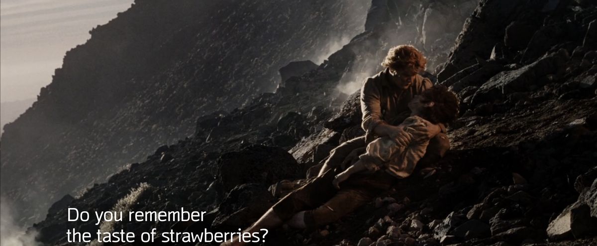 Samwise Gamgee cradles Frodo on the black rock of Mount Doom saying “Do you remember the taste of strawberries” in Lord of the Rings: Return of the King