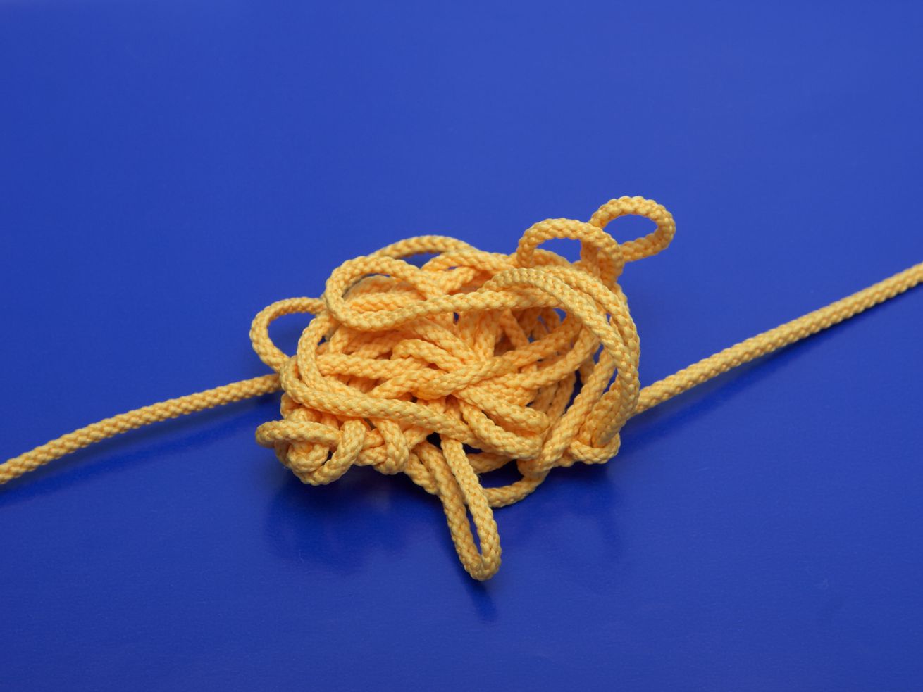 A tangled bit of thin yellow rope, with one end leading off to the left and the other end off to the right.