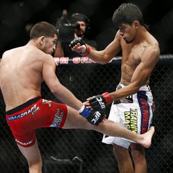UFC 167 photos