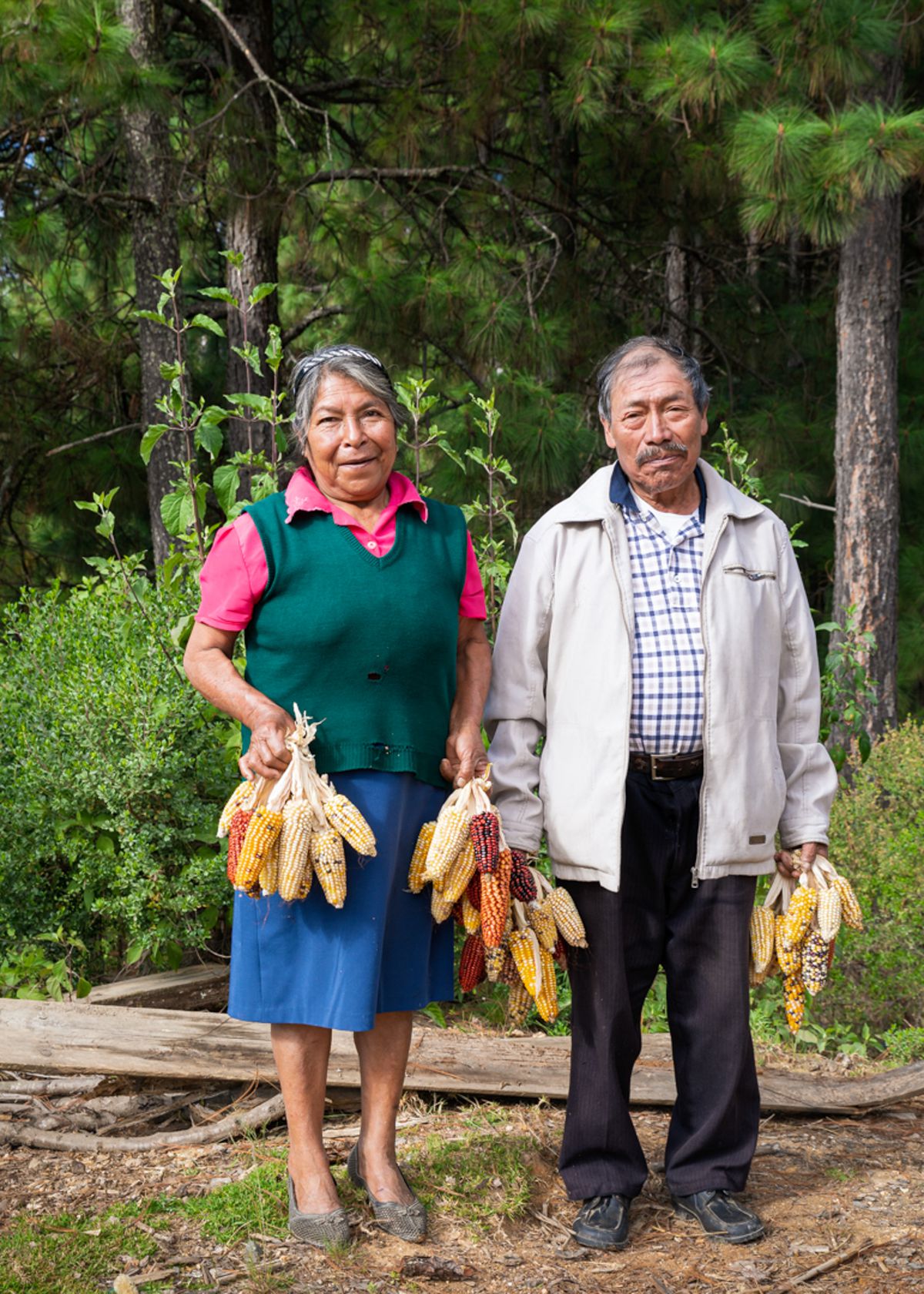 Man and woman standing next to each other, each holding several ears of shucked corn.