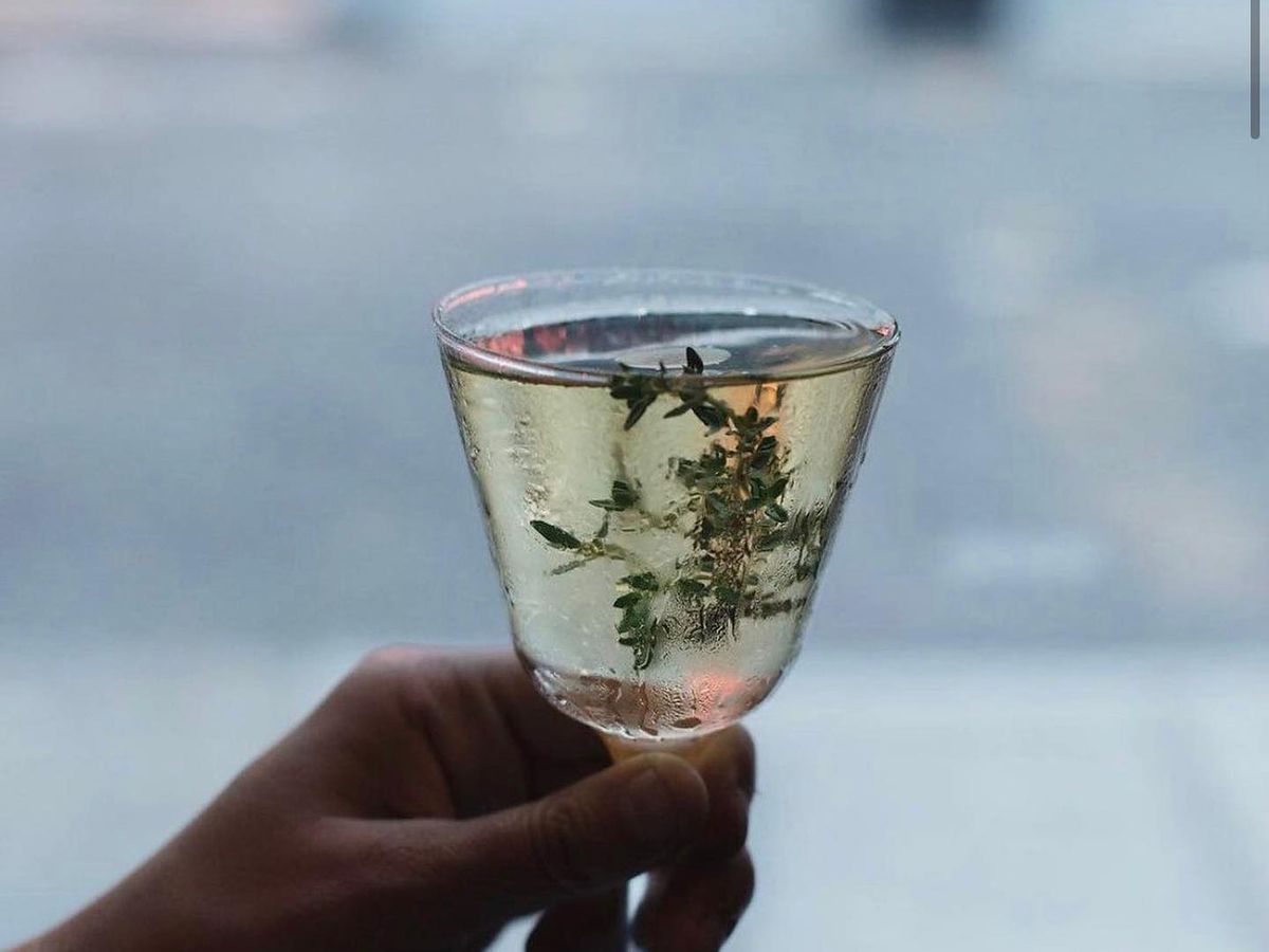 A martini with herbs in it.