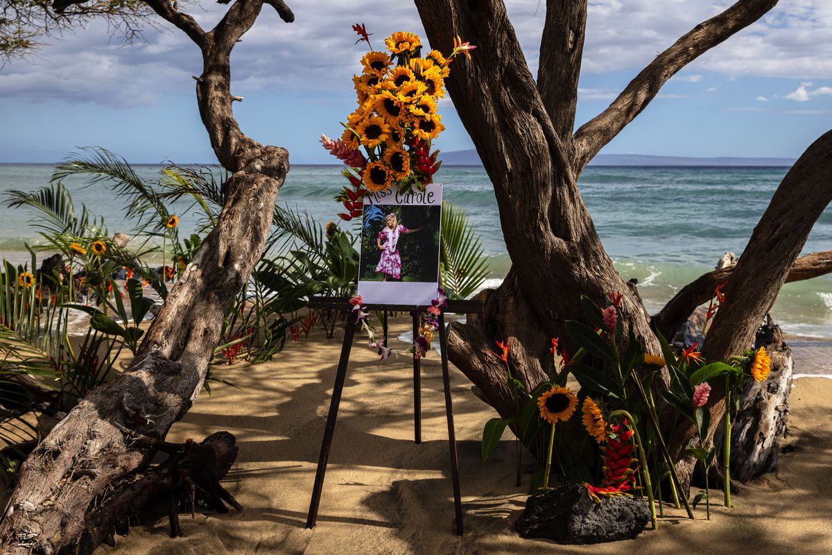 An easel holding flowers and a picture of the deceased stands on a beach beside a tree.