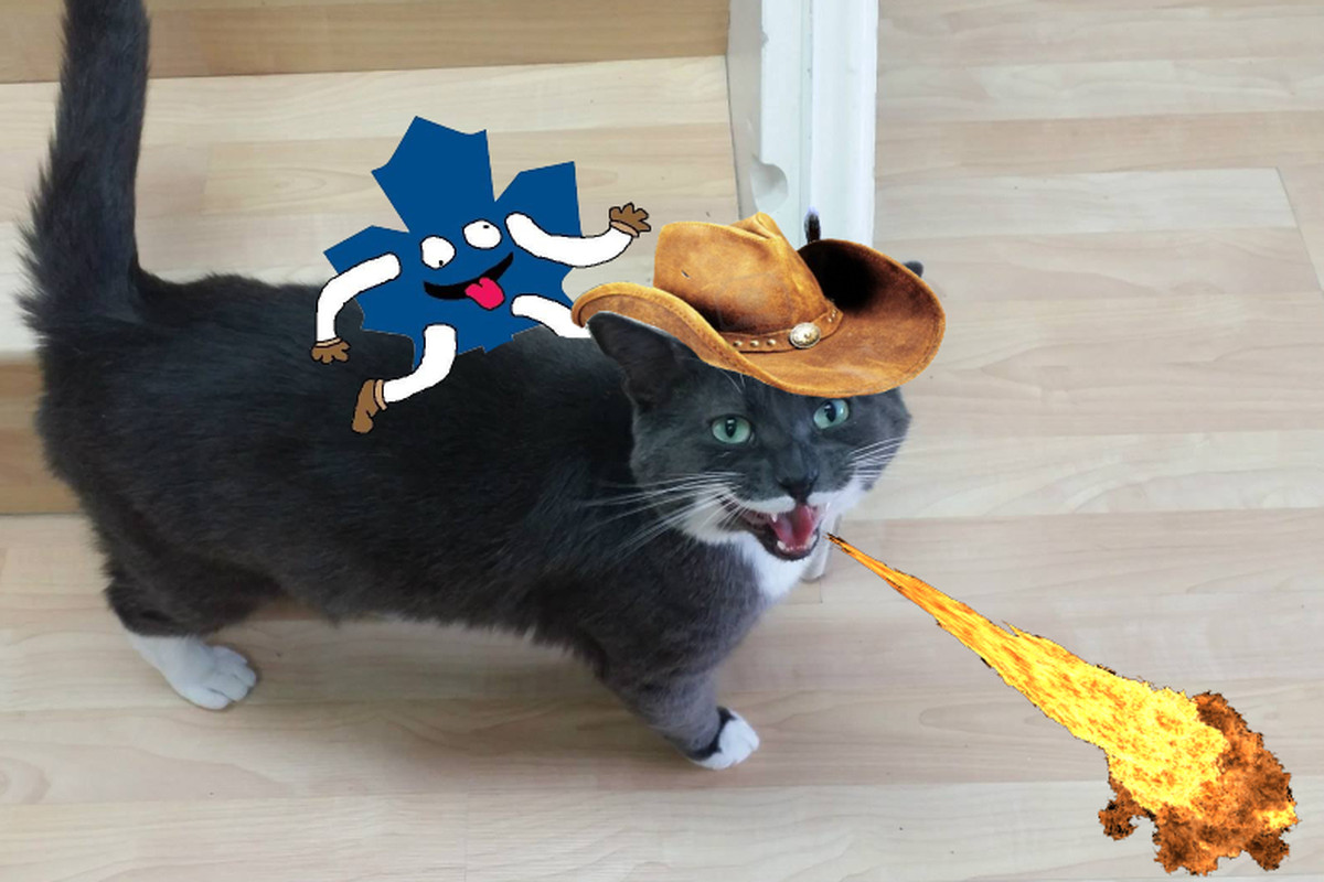 Surveillance footage shows Leafsman and Mouse were behind the recent plot by the kittens to take over the ranch.