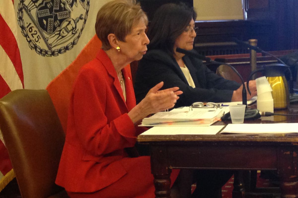 Department of Education Deputy Chancellor Kathleen Grimm (left) at a City Council hearing to discuss the department's five-year capital plan in March 2014.