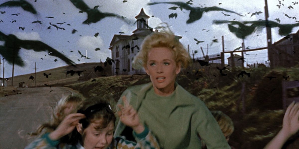 Tippi Hedren runs away from a flock of birds in Alfred HItchcock’s The Birds