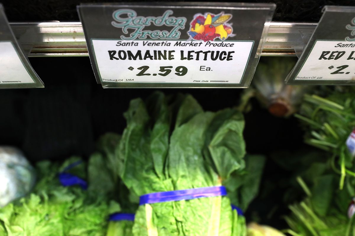 Romaine lettuce in a supermarket