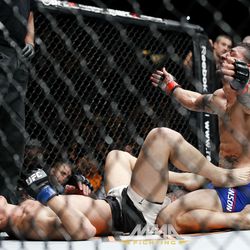 UFC 206 photos