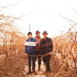 Three generations of Frank winemakers. From the left: current winemaker Frederick frank, his father Willy Frank, and the original Dr. Konstatin Frank. [Source: Democrat & Chronicle]