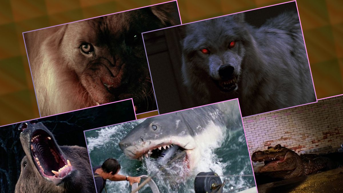 A collage image with a lion, a wolf, a bear, a shark, and a crocodile