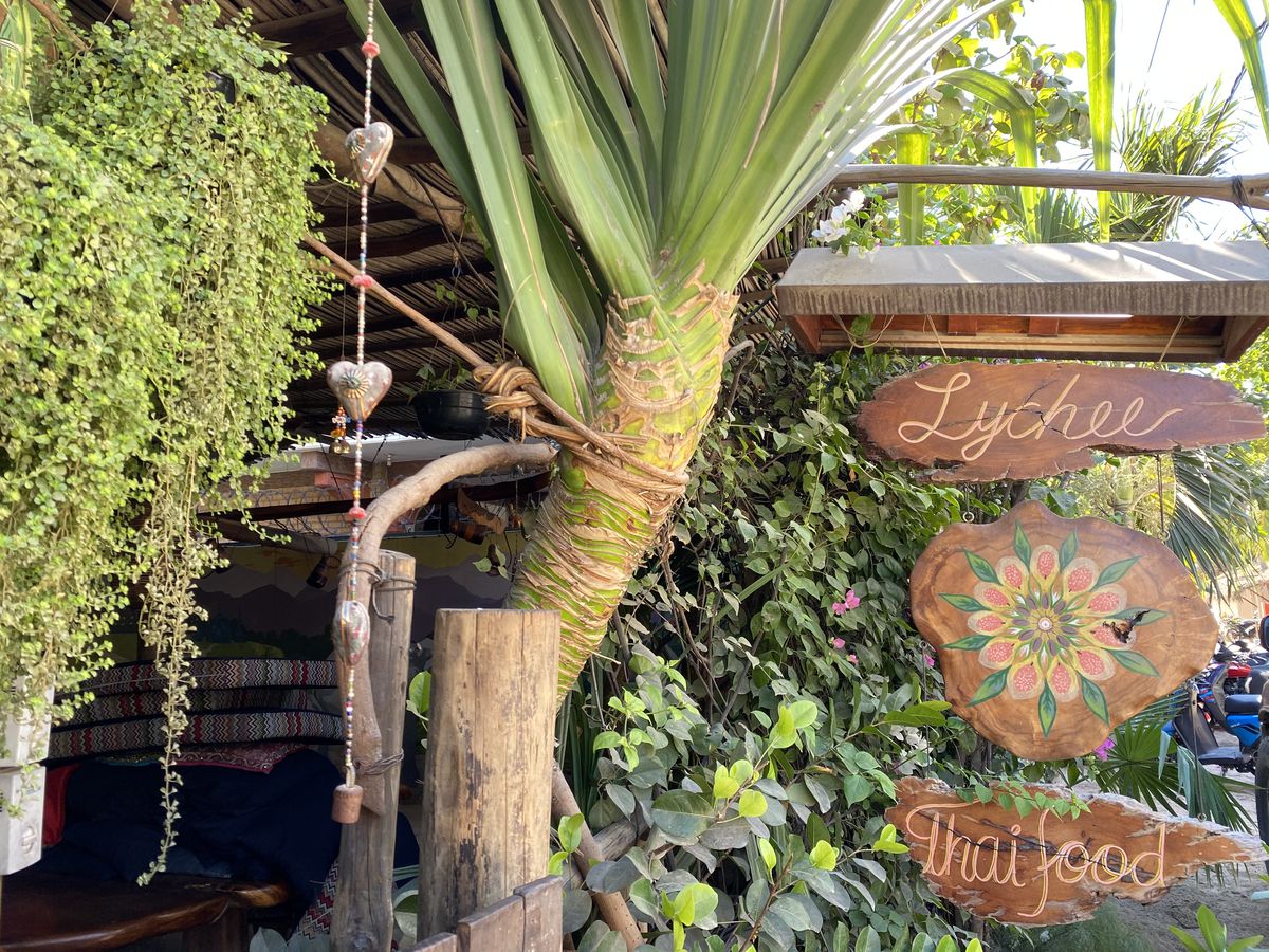 Wooden hanging signs for Lychee restaurant and “Thai food”, in front of a lush bunch of foliage