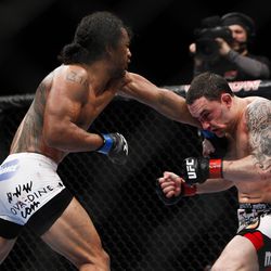 UFC 144 Fight Night Photos