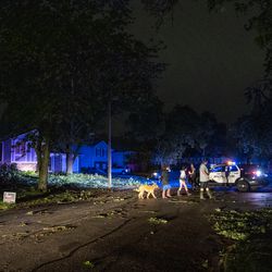A group of people walk by a road blocked by Elmhurst police at Westview Ln and Brentwood Ct, after a tornado touched down near suburban Woodridge, Monday, June 21, 2021.