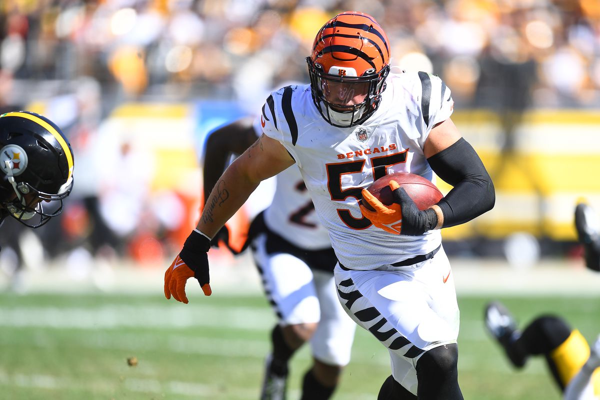 Bengals' Logan Wilson receives high praise from NFL analyst