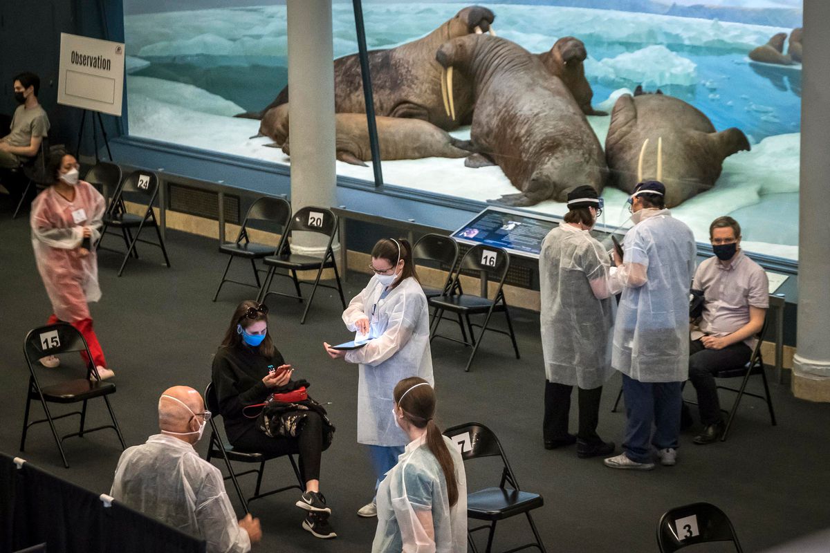People wait to get vaccine shots at the American Museum of Natural History, April 23, 2021.