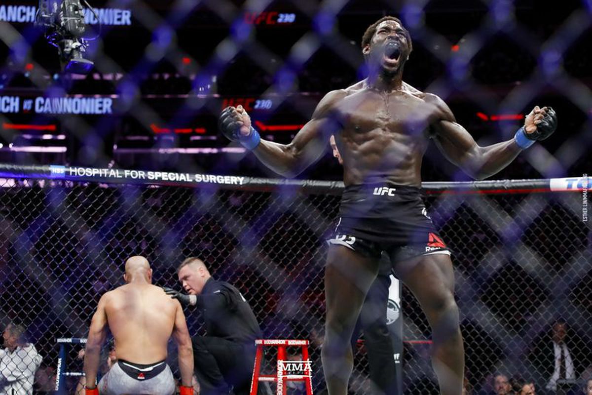 Image result for jared cannonier ufc
