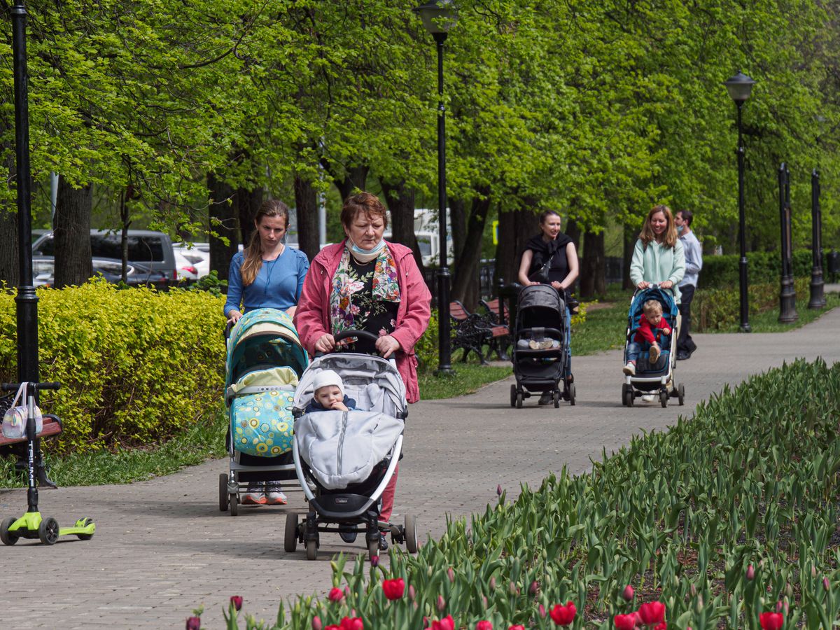 Women walk with children in strollers along a boulevard in spring.