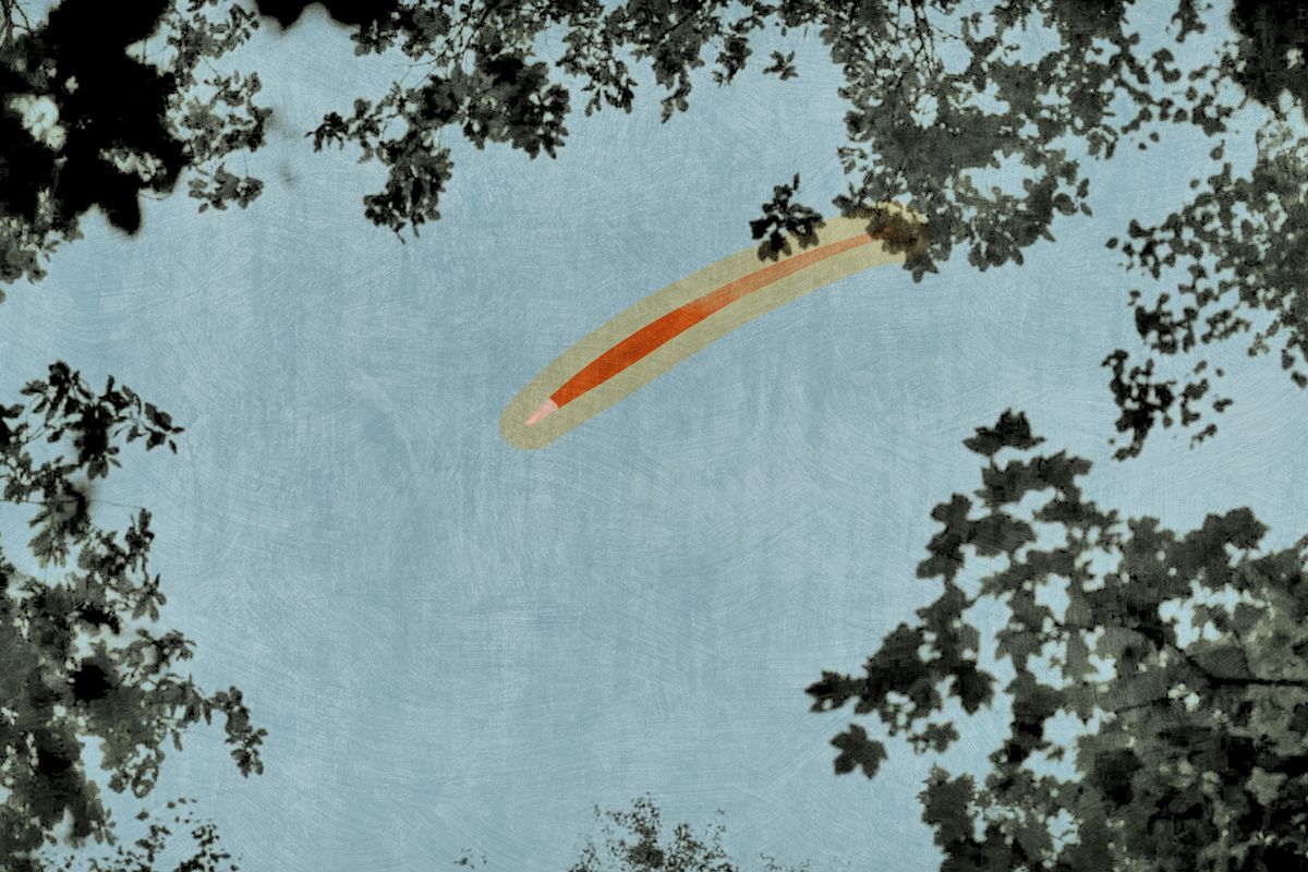 Illustration of a comet shooting through the sky, with trees surrounding it