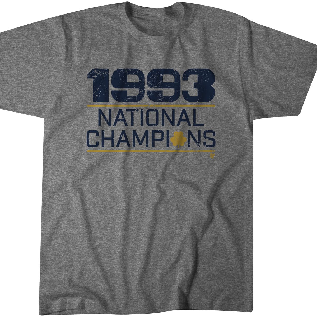 Black Friday Sale Notre Dame 1993 National Champions Hoodie And More One Foot Down