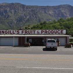 Pettingill's Fruit Farm is among the many fruit stands along Highway 89 in Willard and Perry, Box Elder County.