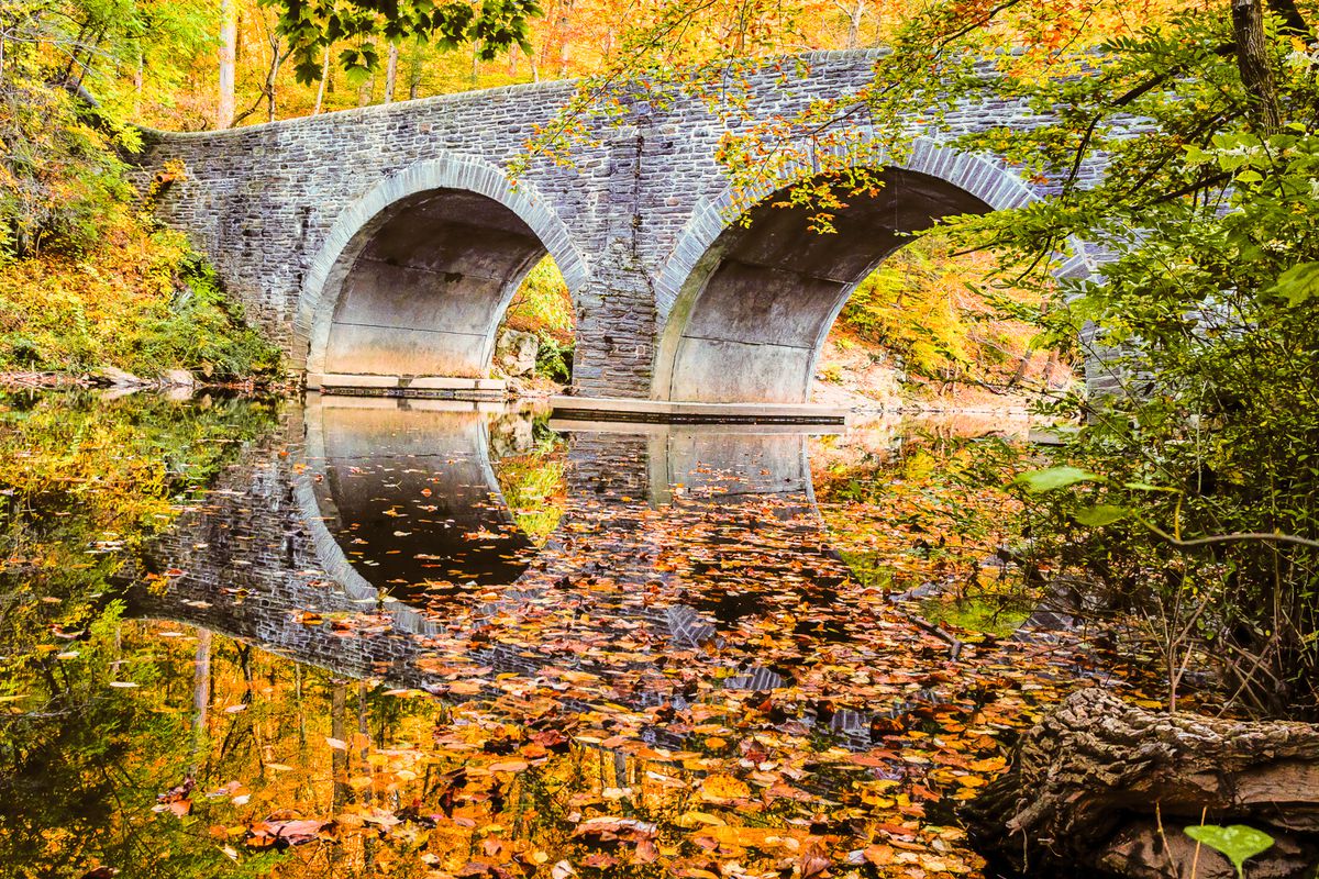 A stone bridge over a body of water surrounded by trees with multicolored autumn leaves in Philadelphia.