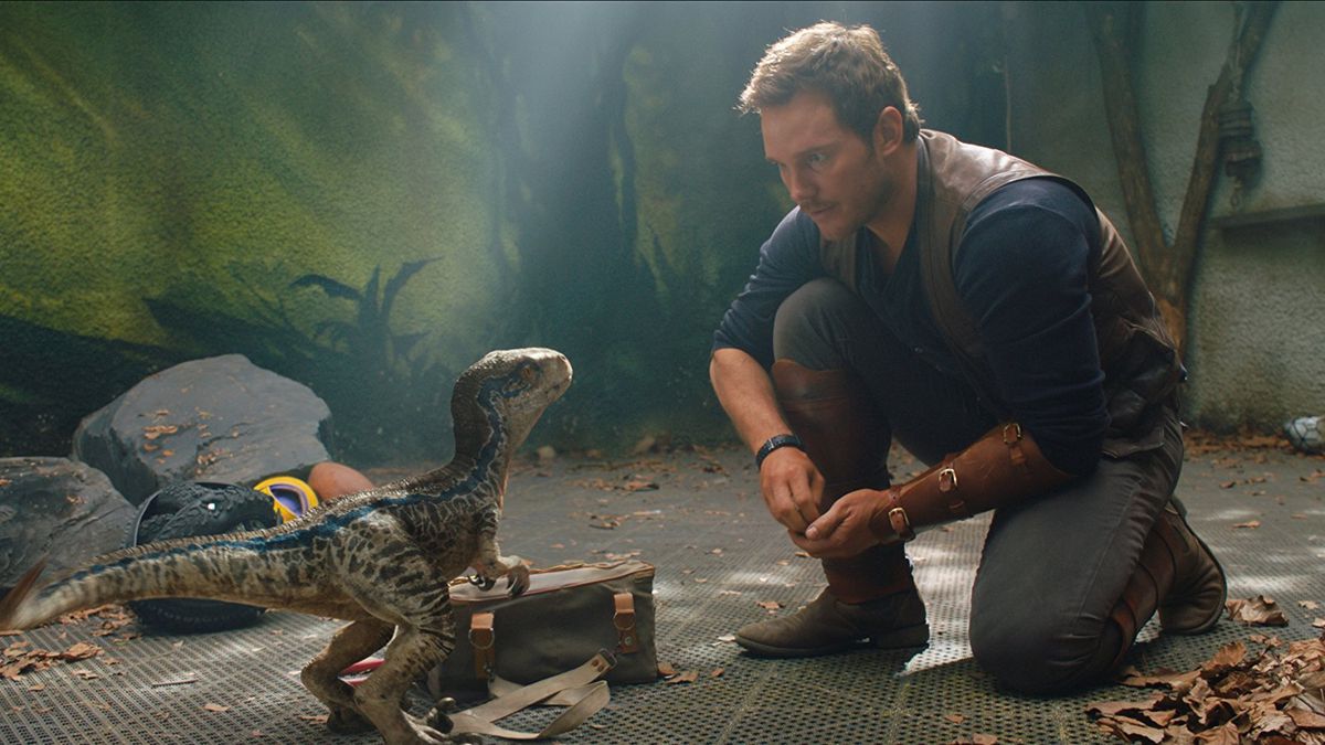 Chris Pratt chills with Blue in Jurassic World: Fallen Kingdom