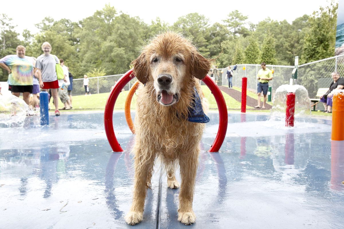 Beneful Dream Dog Park Unveil Event