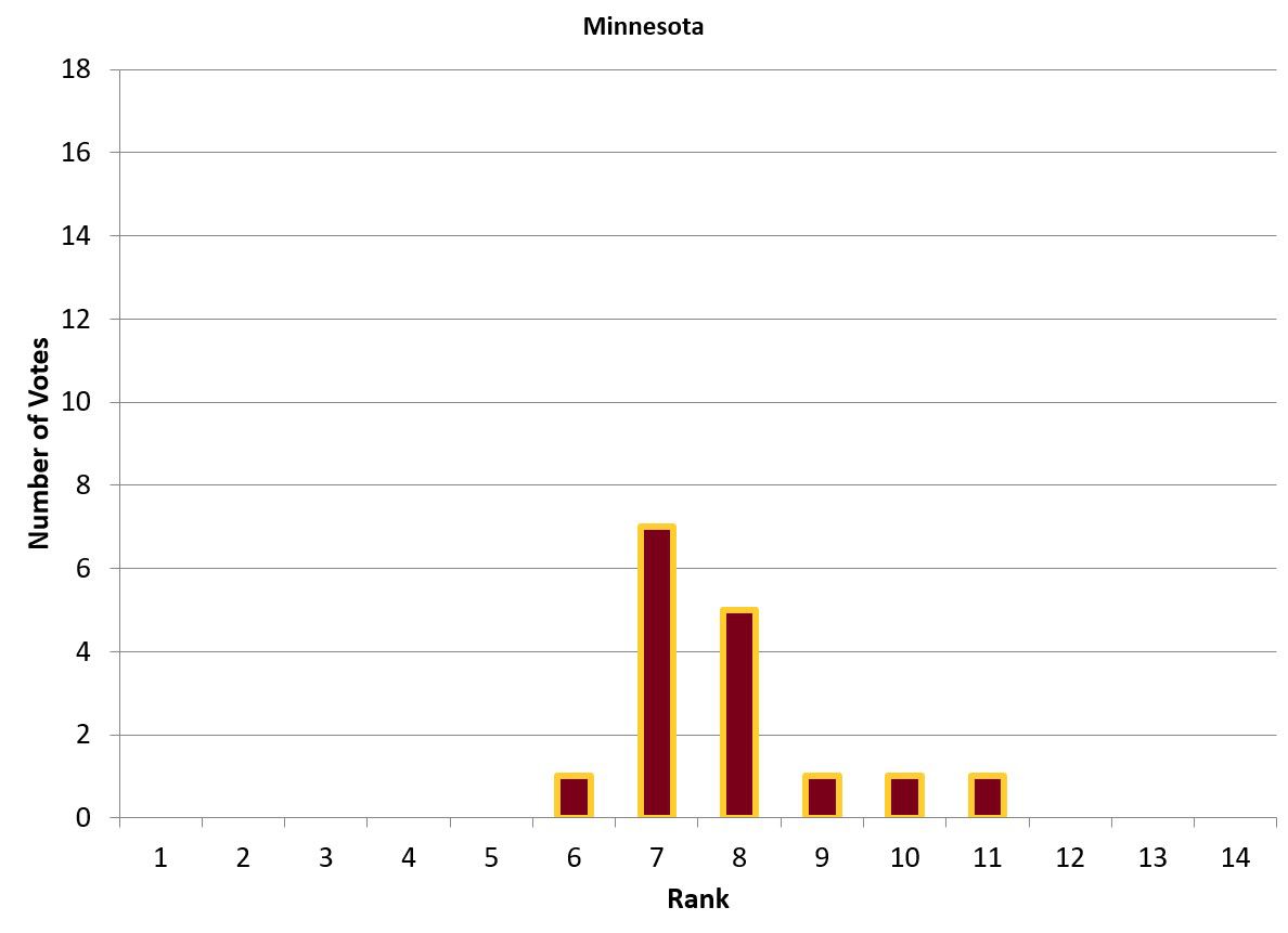 Bar graph representing Minnesota’s vote breakdown.