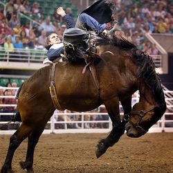 Morgan Wilde of McCammon, ID, competes in bareback riding at the Days of '47 Rodeo at EnergySolutions Arena in Salt Lake City on Friday, July 25, 2014.