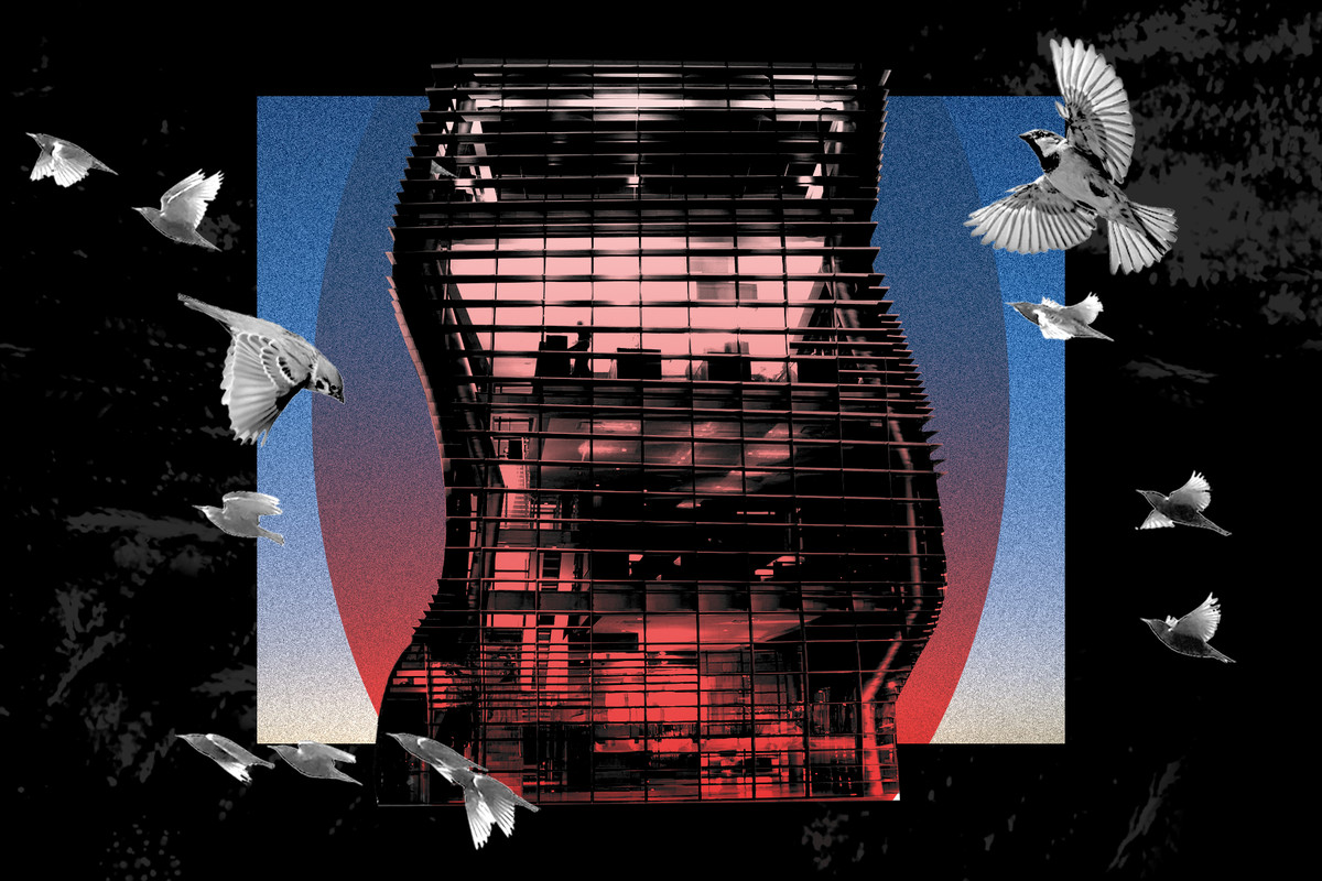 飞行鸟围拢的一座发光的大厦的照片例证