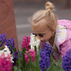 Elle Blad, from Provo, sniffs the beautiful flowers during the Sunday morning session of the 183rd Annual General Conference of The Church of Jesus Christ of Latter-Day Saints Sunday, April 7, 2013.