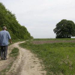 In this picture taken May 10, 2013, Ivan Hrushka, 69, approaches the site of a peasant house - under trees in the distance on the right - where 21 people, including nine children were burned alive  on Dec.3, 1943, in his home village of Pidhaitsi close to Ukraine's western city of Lutsk. Evidence uncovered by AP indicates that Ukrainian Self Defense Legion commander Michael Karkoc's unit was in the area at the time of the massacre of civilians . There is no indication any other units were in the area at the time.  