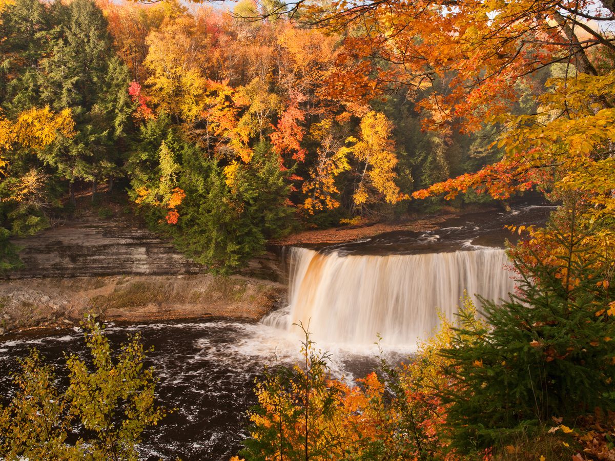 A waterfall can be seen through a narrow window between red, orange, yellow, and green leaves. 
