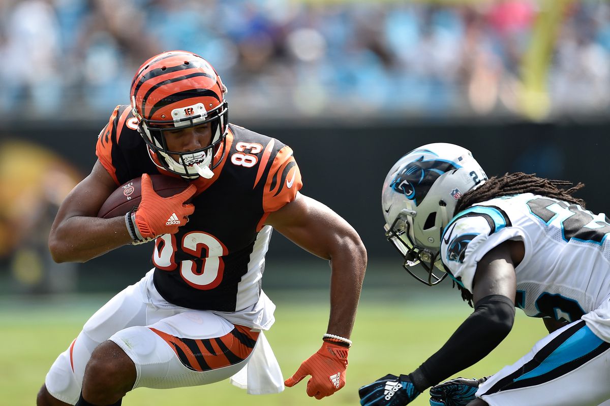 Bengals vs. Panthers TV schedule: Start time, TV channel, live