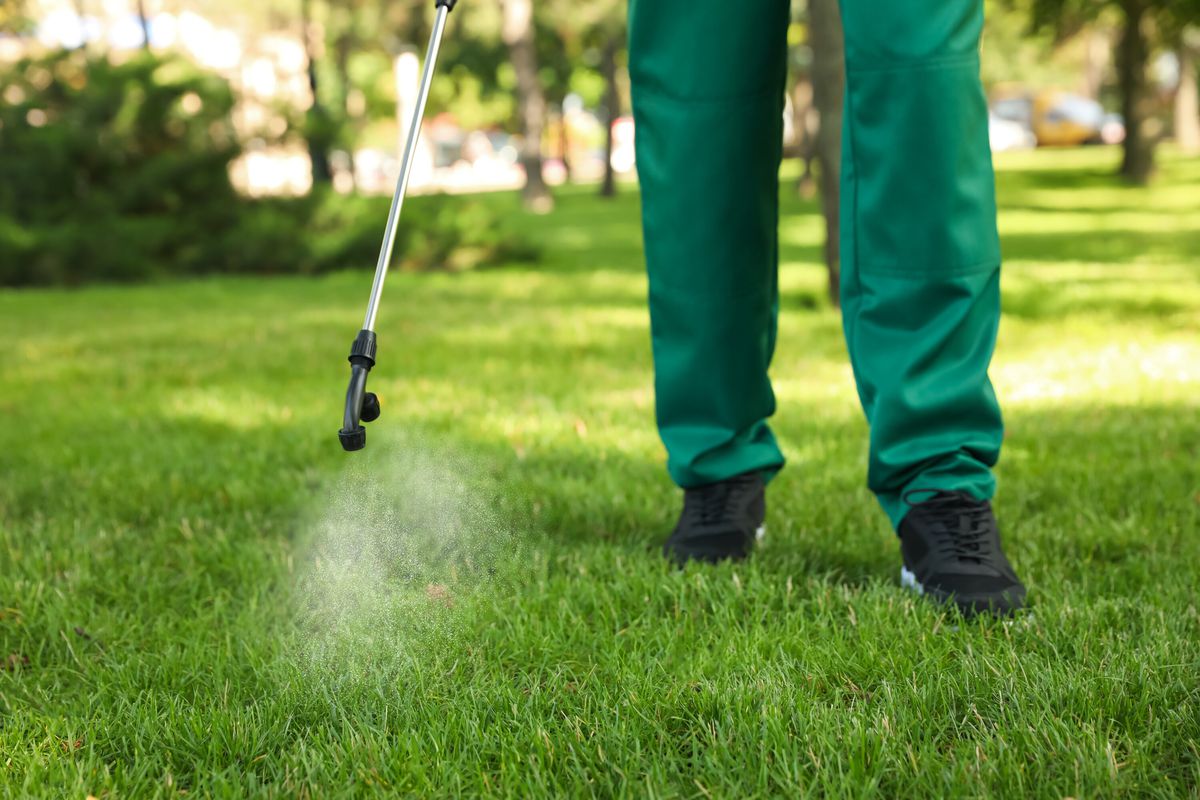 A worker dressed in green pants and black boots spraying herbicide onto a green grass lawn