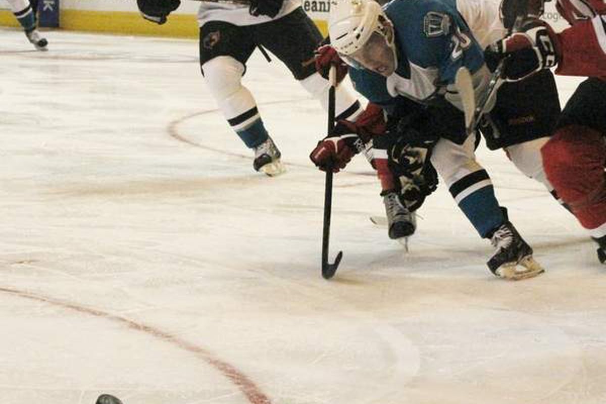 Worcester Sharks rookie forward James Livingston battles for the puck against the Albany Devils in the Sharks' home opener Saturday night at the DCU Center.  <strong>Photo courtesy of Michelle Sheppard of www.telegram.com</strong>