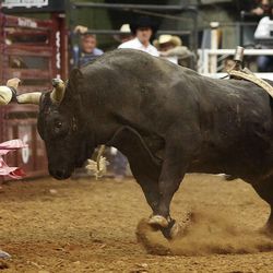 Bullfighter Aaron Hargo distracts a bull during the Days of 47 Rodeo Tuesday, July 22, 2014, at EnergySolutions Arena in Salt Lake City.