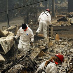 FILE - In this Tuesday, Nov. 13, 2018 file photo, search and rescue workers search for human remains at a trailer park burned out from the Camp fire in Paradise, Calif. Officials say the search to find the missing and identify victims could take months given the size and scope of the deadly wildfire that swept Northern California's Gold Rush country. The Camp Fire in Butte County that started two weeks ago has killed multiple people and hundreds of names are on a fluctuating list of the unaccounted. (AP Photo/John Locher, File)