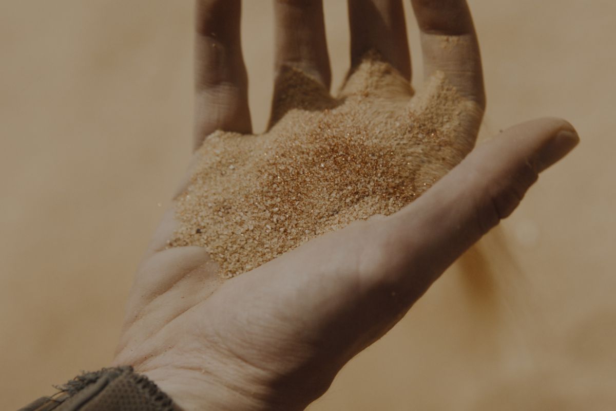 timothee chalamet’s hand picks up some dune sand