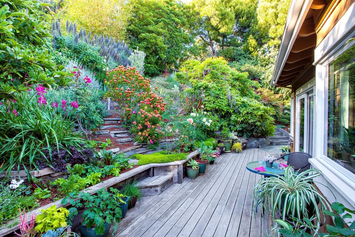 garden renovation in Santa Cruz, CA, July/Aug 2020